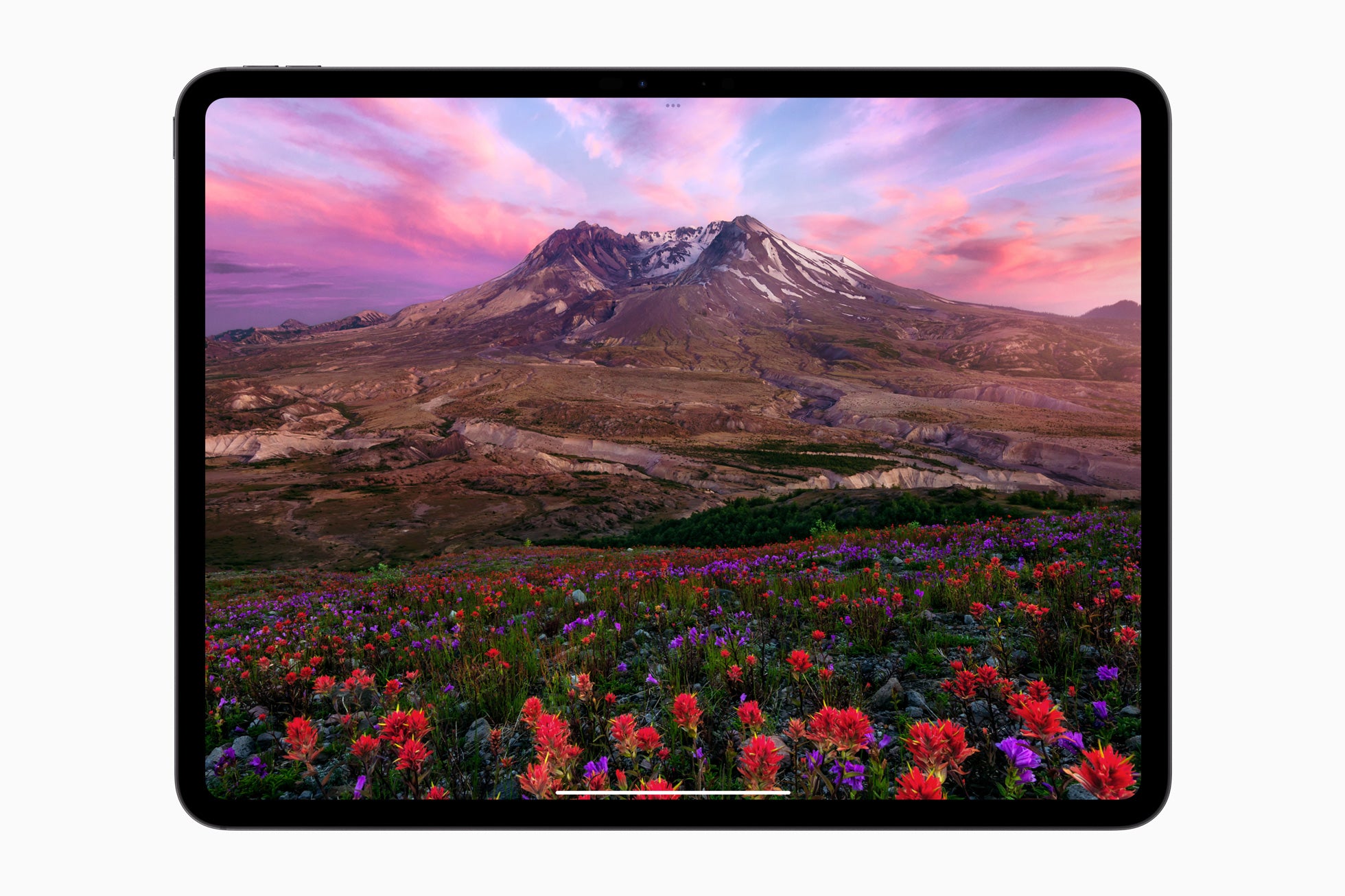 Renewed iPad Pro (2024, M4) 13" - Space Black